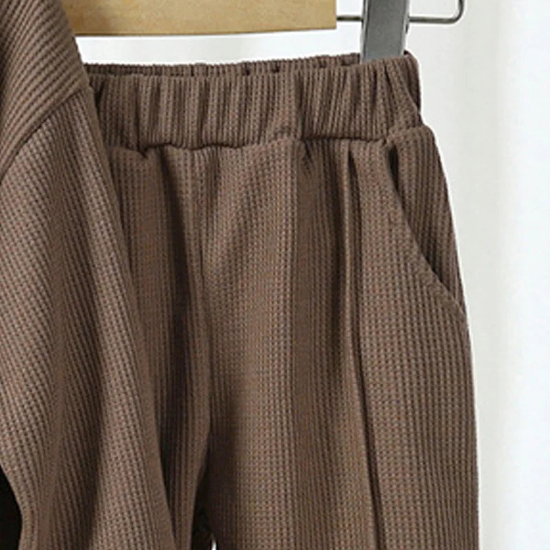 Conjuntos informales de gofres para niños y niñas, Trajes clásicos de manga larga, Top + Pantalones de moda, trajes de 2 piezas, otoño y primavera