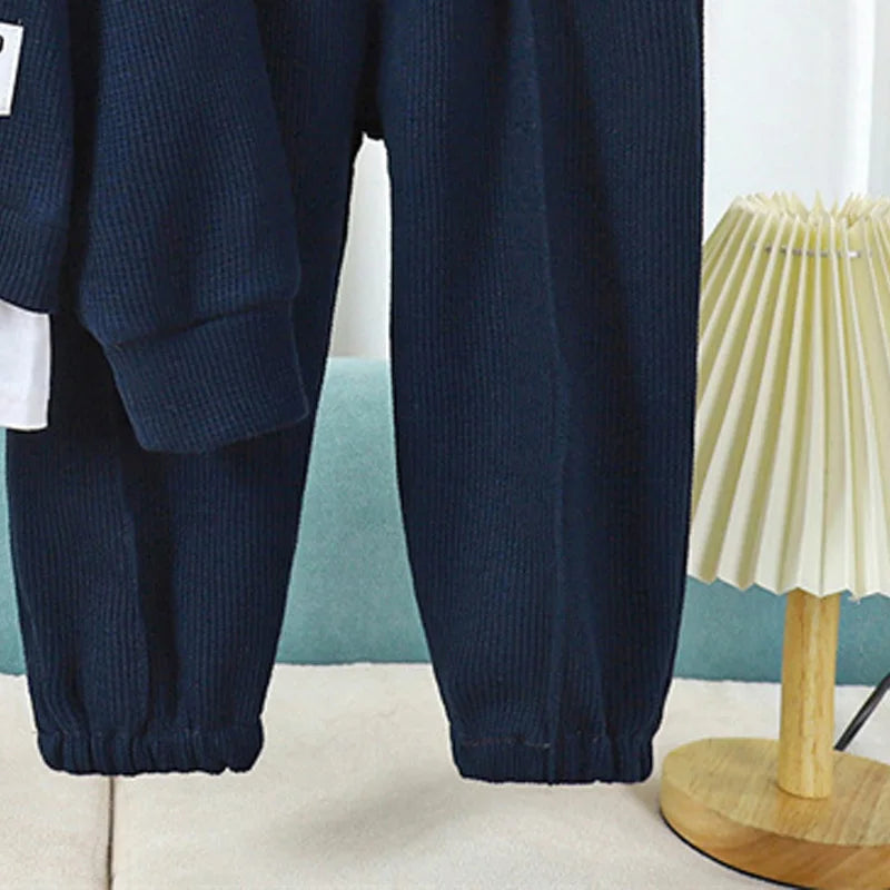 Conjuntos informales de gofres para niños y niñas, Trajes clásicos de manga larga, Top + Pantalones de moda, trajes de 2 piezas, otoño y primavera